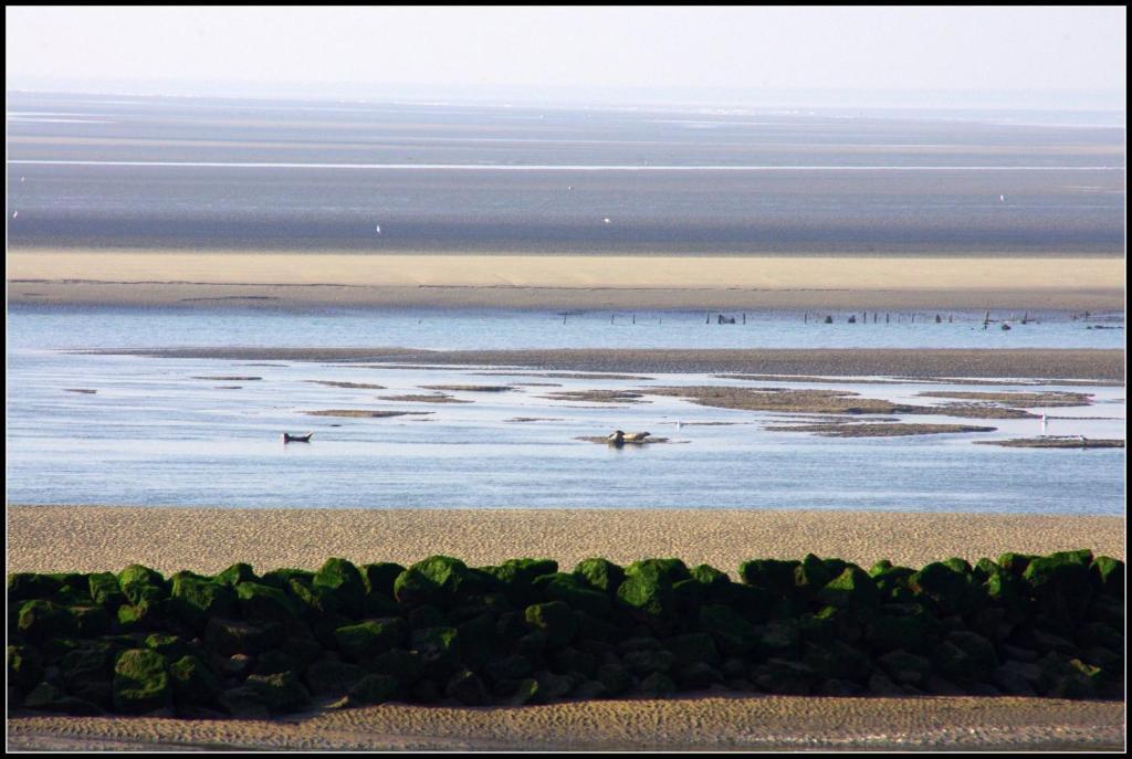 Logis Hotel Au Gré du Vent Berck Esterno foto
